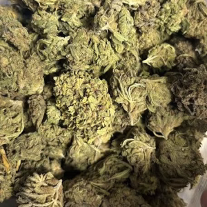 Rainbow Sherbet #11