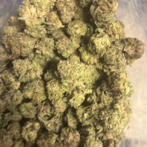 Apple Fritter