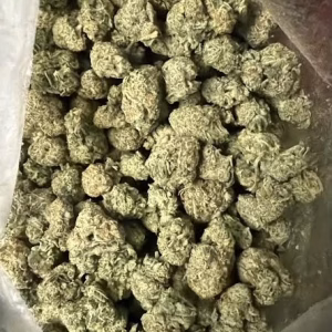 Northern Lights