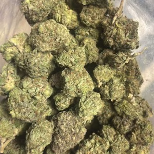 Apricot Auto