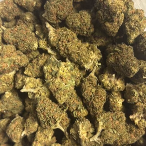 Gelato