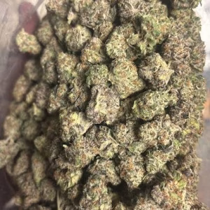 Comatose OG