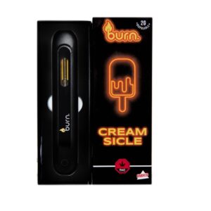 Burn Disposable Pen 2g - Creamsicle
