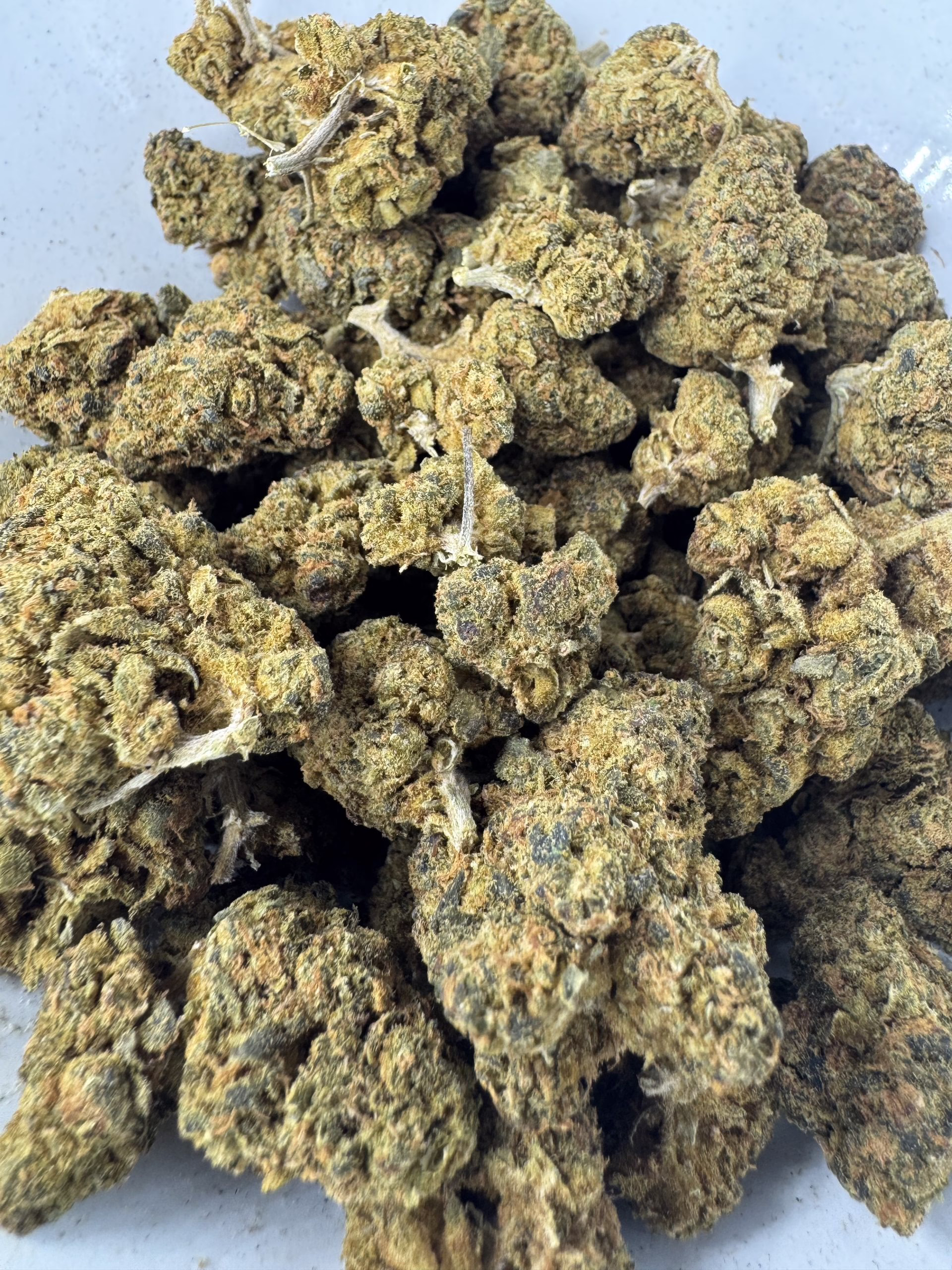 Purple Kush