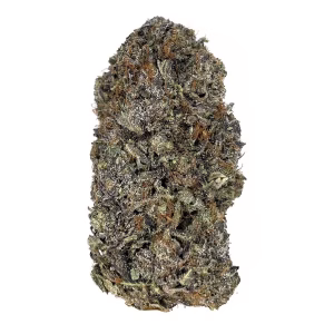 Bubba Kings - KO Pink