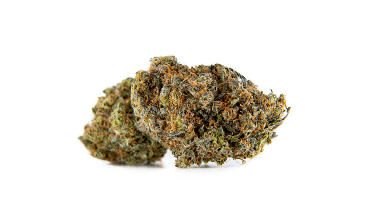 Mendo Breath