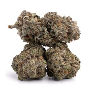 Bubba Kings - Paralyze Pink