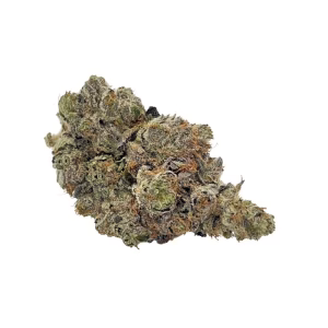 Cincopax - 5 Star Pink