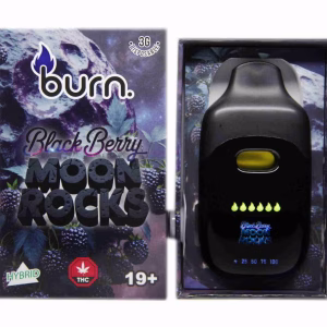 Burn Disposable Pen 3g - Blackberry Moonrocks