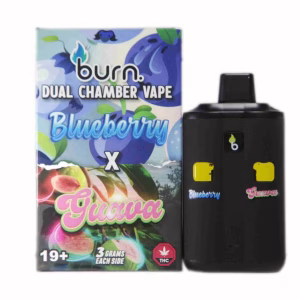 Burn Dual Chamber Pen 6g - Blueberry (I) + Guava (H)