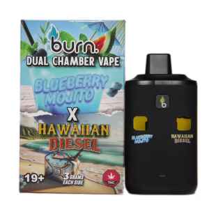 Burn Dual Chamber Pen 6g - Blueberry Mojito (H) + Hawaiian Diesel (S)