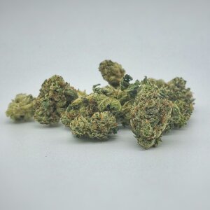 Bubba Kings - KO Pink Smalls