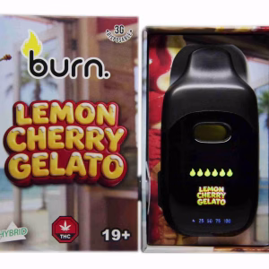 Burn Disposable Pen 3g - Lemon Cherry Gelato