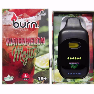 Burn Disposable Pen 3g - Watermelon Mojito