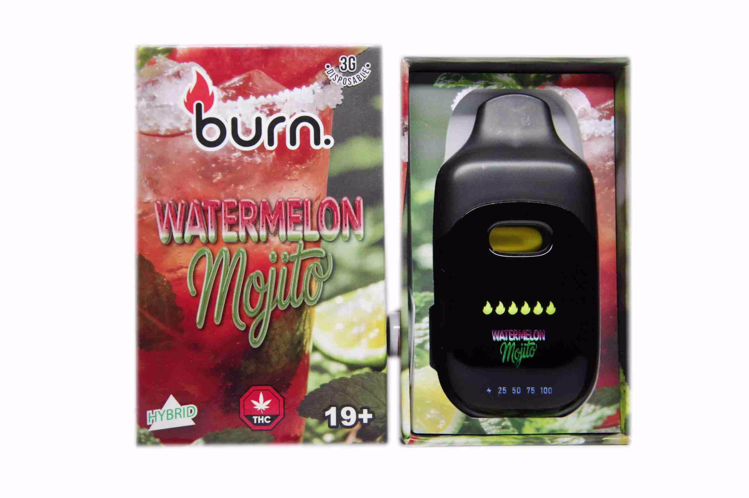 Burn Disposable Pen 3g - Watermelon Mojito
