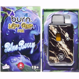 Burn Live Resin FSE Disposable Pen 2g - Blueberry