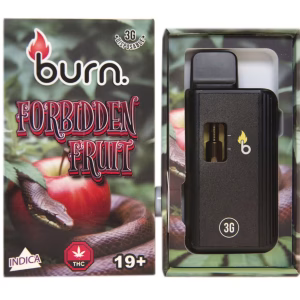 Burn Disposable Pen 3g - Forbidden Fruit