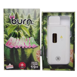 Burn Disposable Pen 2g - Guava