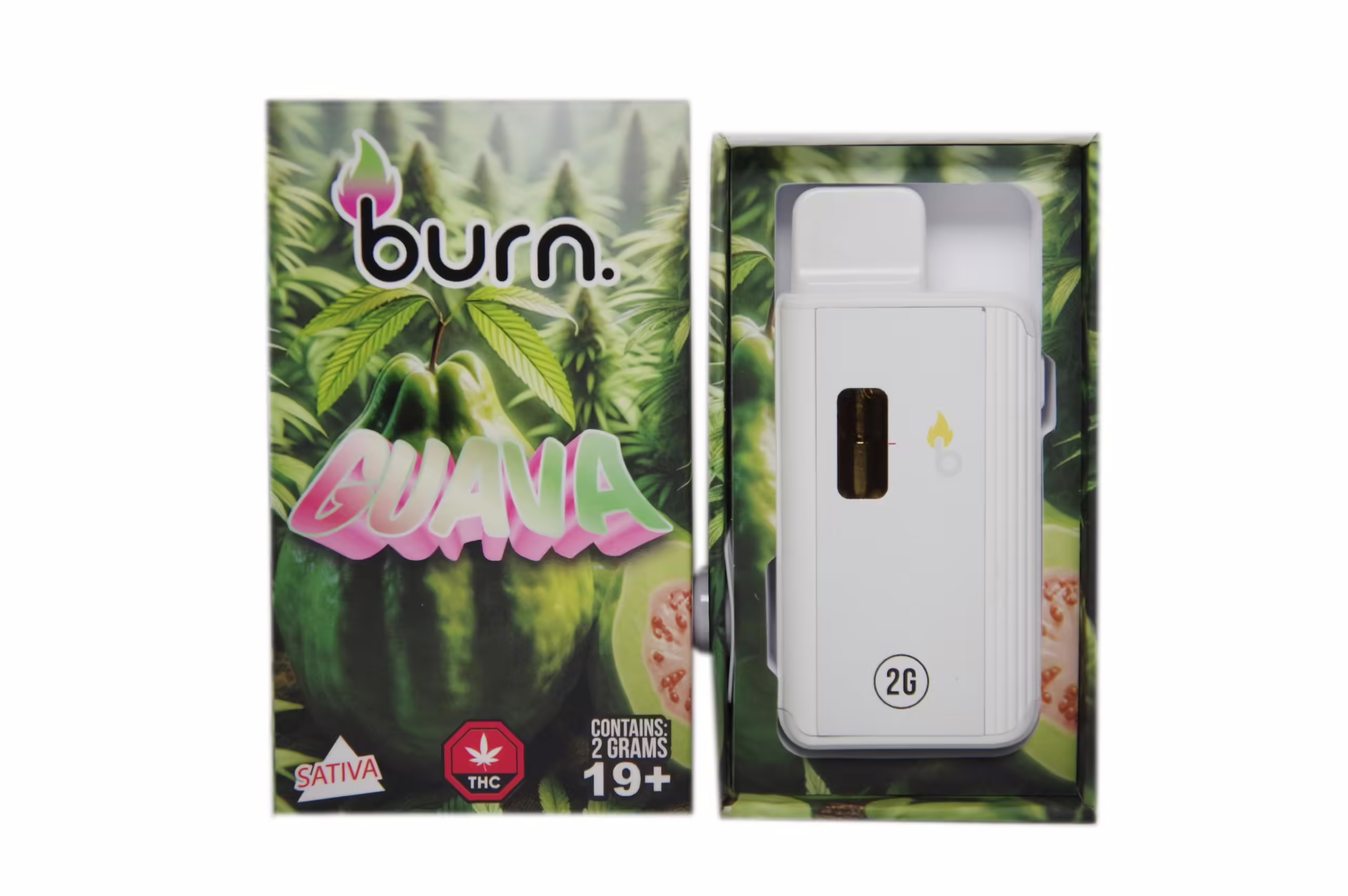 Burn Disposable Pen 2g - Guava