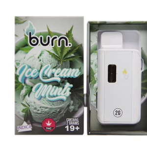 Burn Disposable Pen 2g - Ice Cream Mints