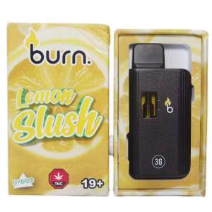 Burn Disposable Pen 3g - Lemon Slush