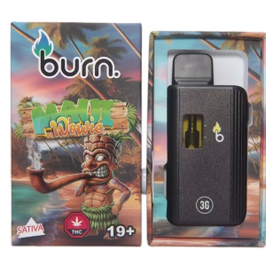Burn Disposable Pen 3g - Maui Wowie