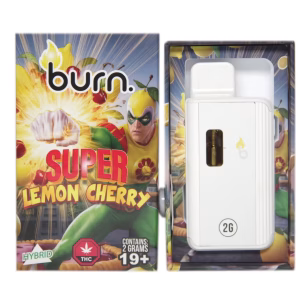 Burn Disposable Pen 2g - Super Lemon Cherry