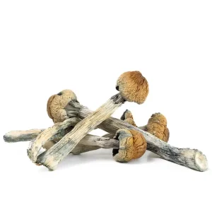 Magic Mushrooms - Jedi Mind Fuck