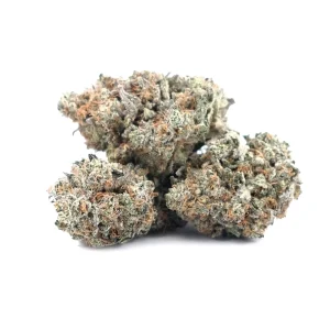 Blueberry Muffin