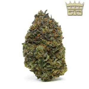 Bubba Kings - P98