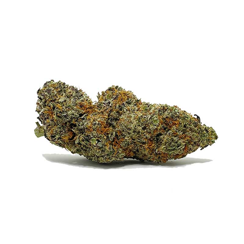 Purple Afghani