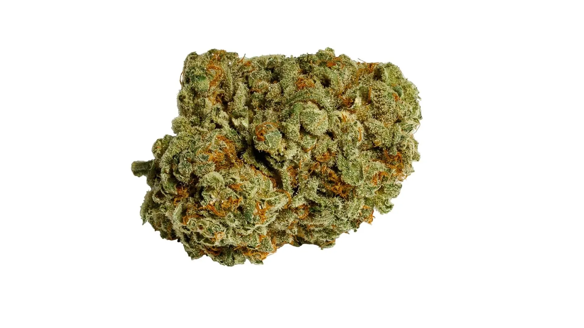 Afghani