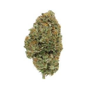 Pink Bubba