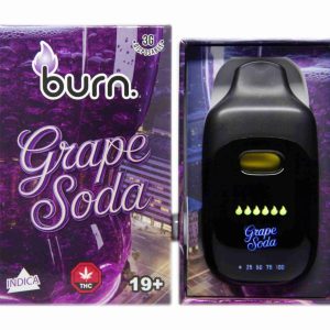 Burn Disposable Pen 3g - Grape Soda