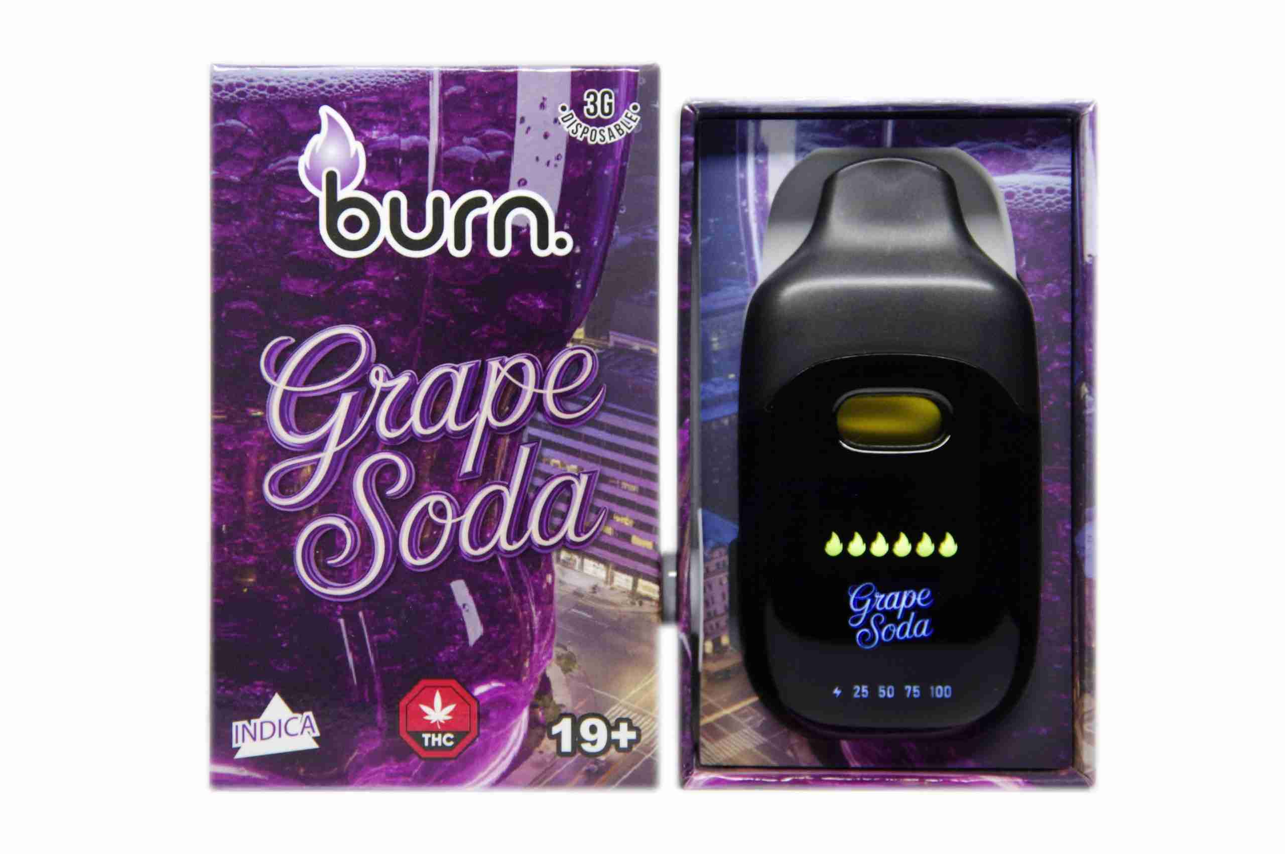 Burn Disposable Pen 3g - Grape Soda