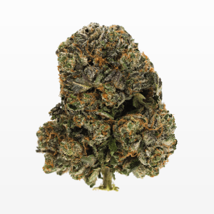 Master Kush Ultra