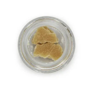 House Budder