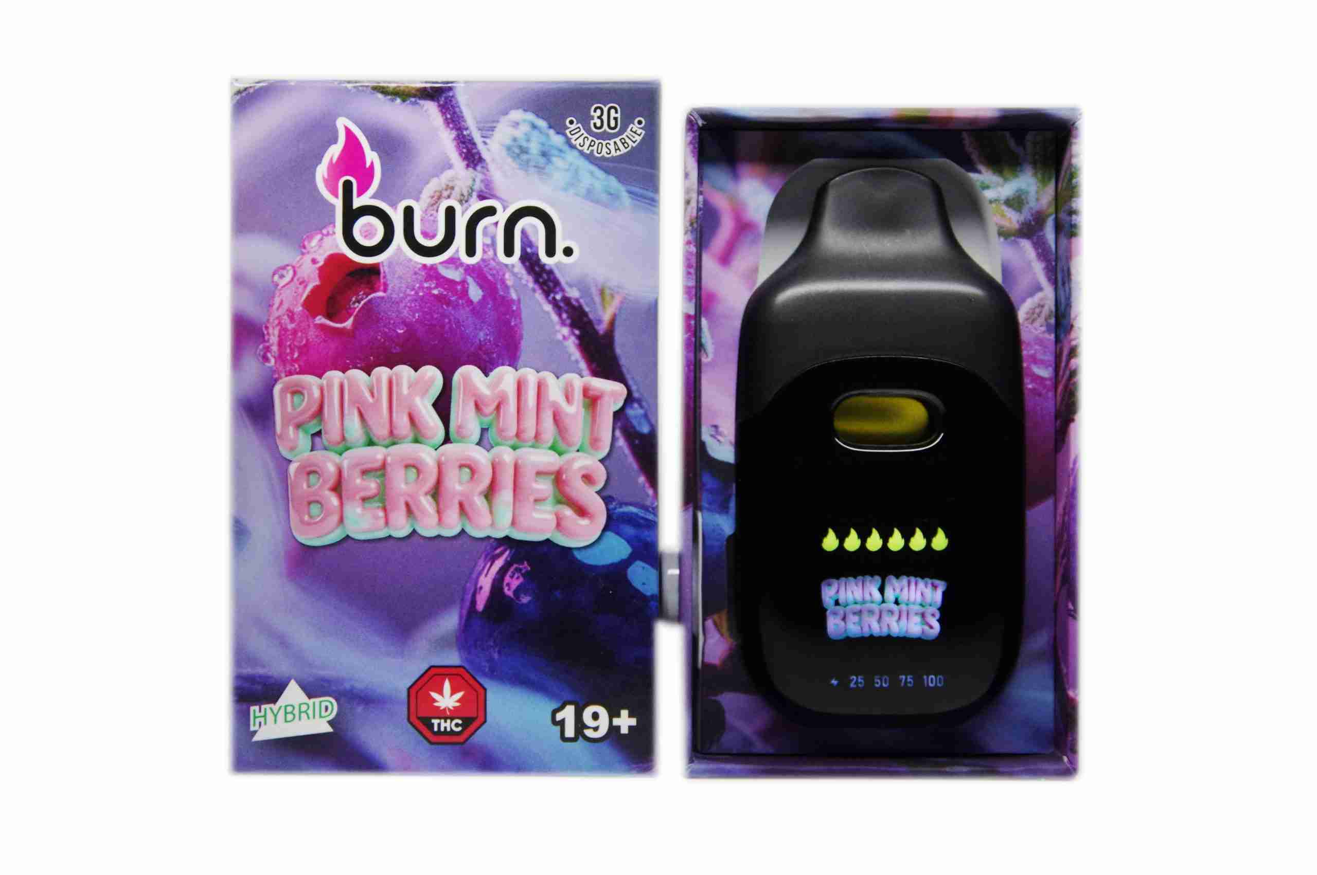 Burn Disposable Pen 3g - Pink Mint Berries