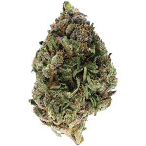Cincopax Death Pink