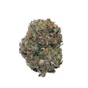 Purple Hindu Kush