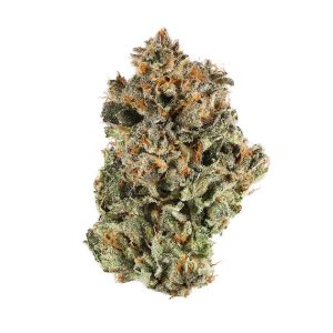 Dark Star
