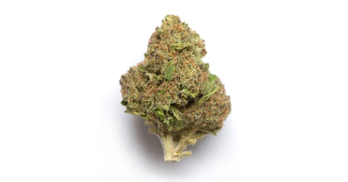 Mint Chocolate Chip