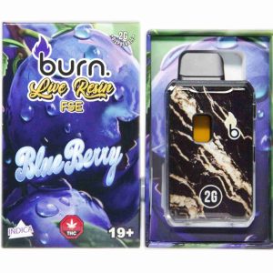 Burn Live Resin FSE Disposable Pen 2g - Blueberry