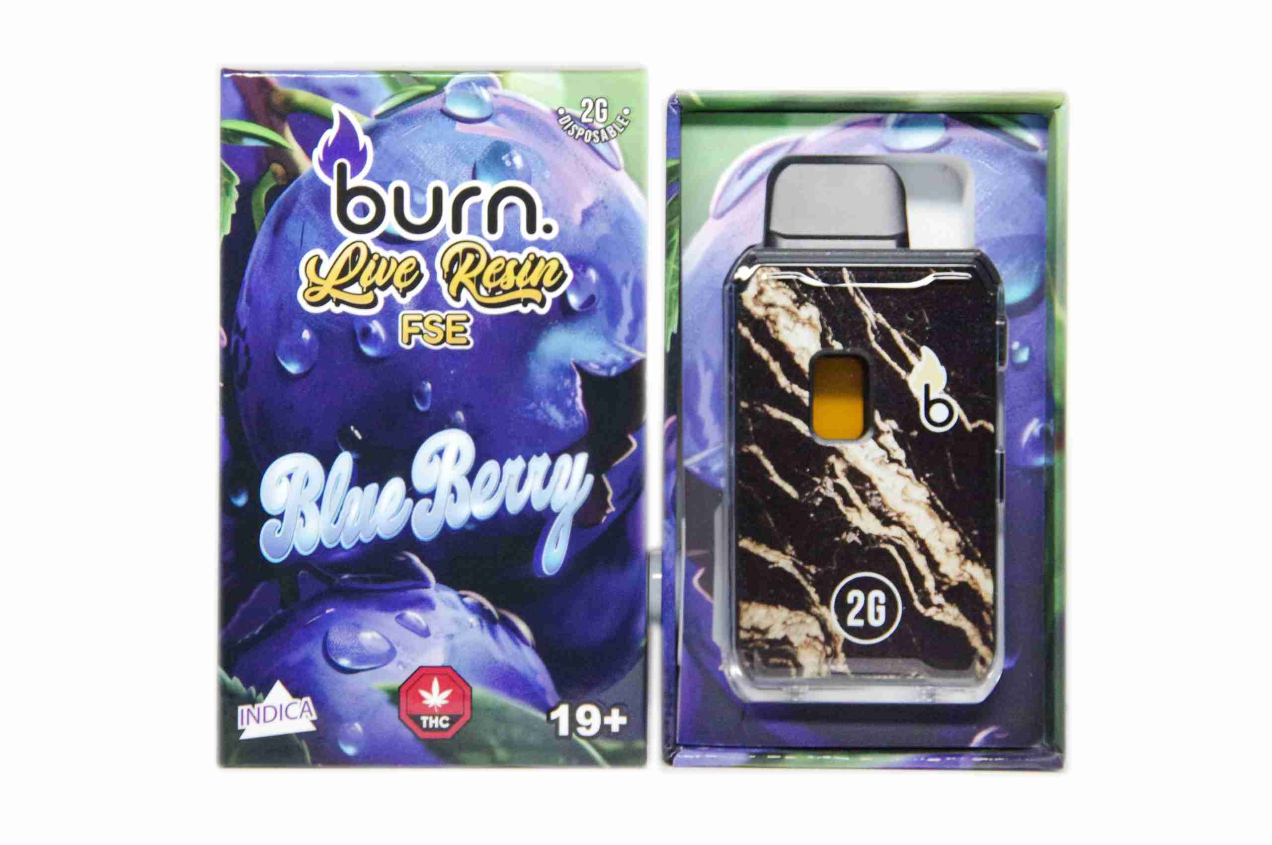 Burn Live Resin FSE Disposable Pen 2g - Blueberry