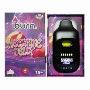 Burn Disposable Pen 3g - Nectarine Dream
