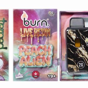 Burn Terped FSE Live Resin Disposable Pen 2g - Peach Alien