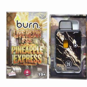 Burn Live Resin FSE Disposable Pen 2g - Pineapple Express