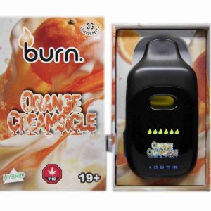 Burn Disposable Pen 3g - Orange Creamsicle