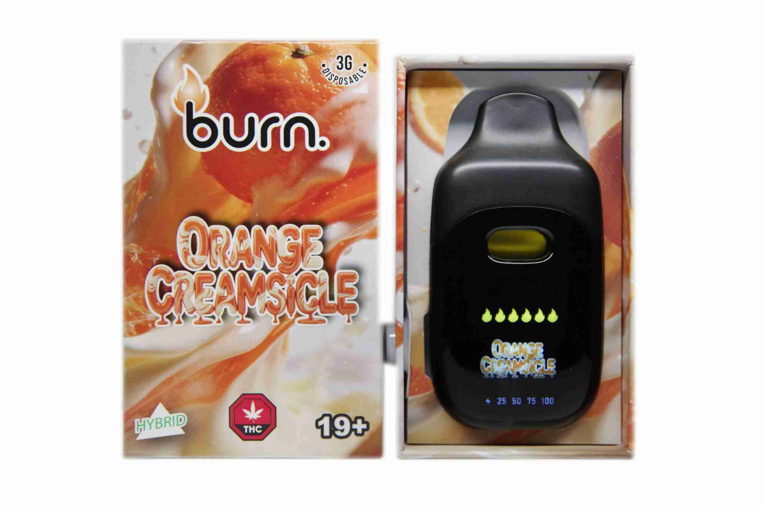 Burn Disposable Pen 3g - Orange Creamsicle