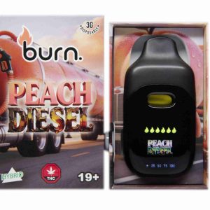 Burn Disposable Pen 3g - Peach Diesel
